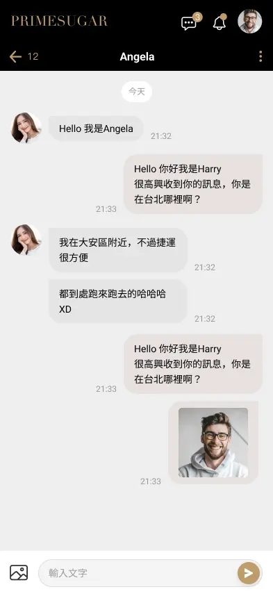 PrimeSugar Chat Interface